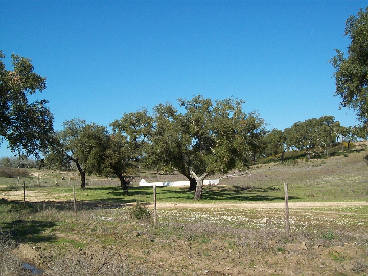 2009_portugal 212